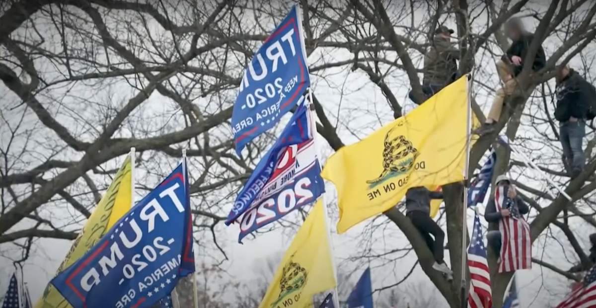 Man with gun in tree during Jan. 6 insurrection, June 28, 2022 hearing