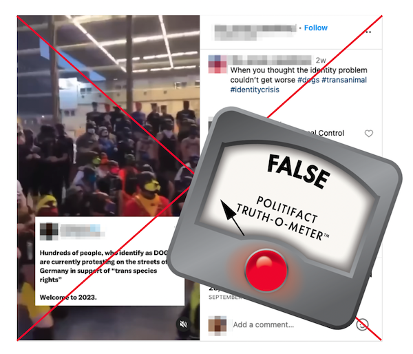 Screenshot of insta, dog trans species protest with False TOM