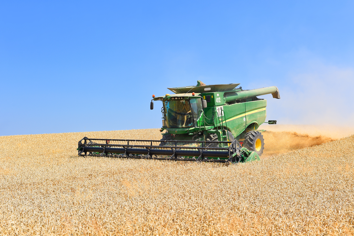 Ukraine grain harvest