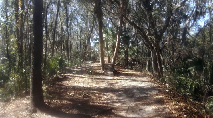 Alafia River State Park bike trail
