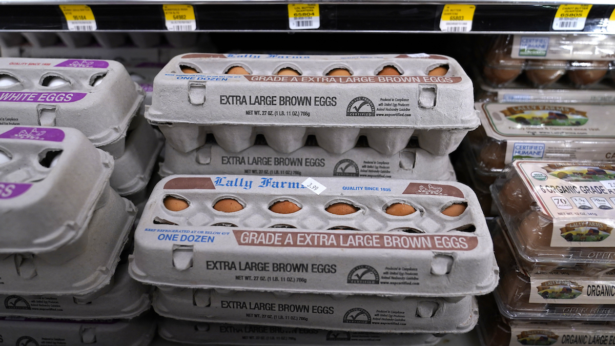 a dozen eggs in refrigerator case