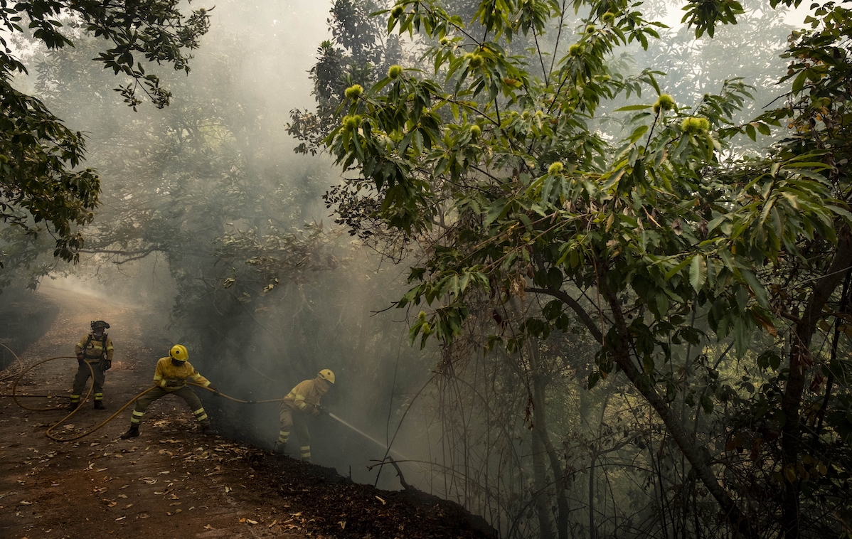 Tenerife wildfire, 8-19-2023