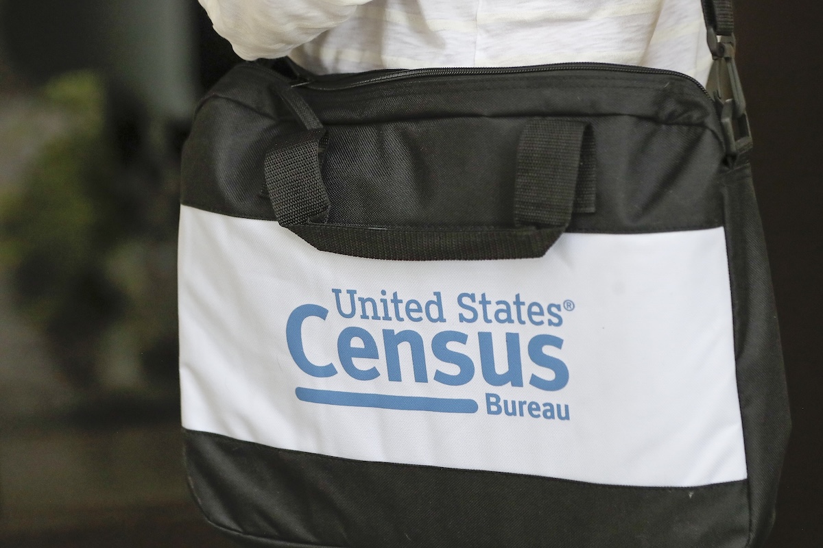 Census taker's bag