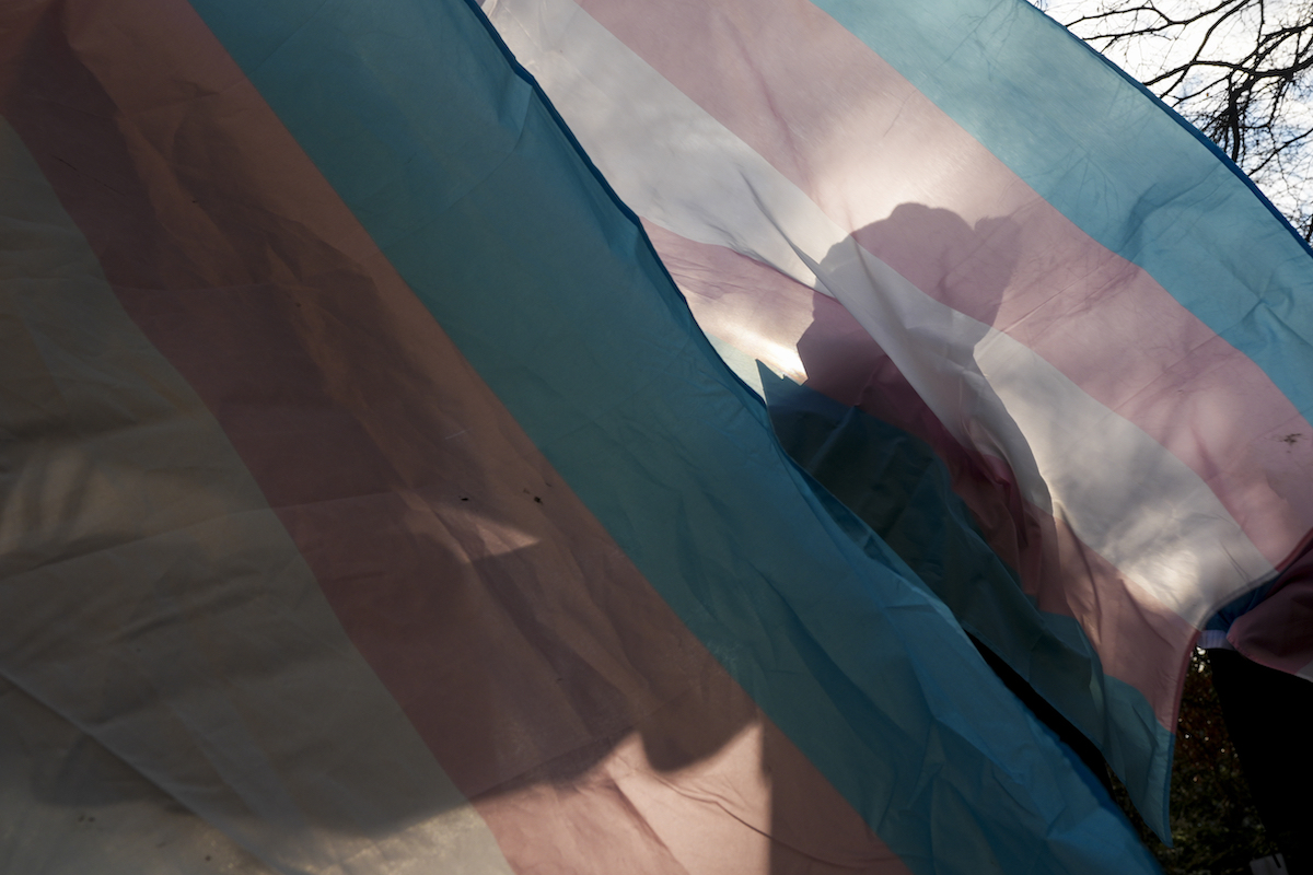Transgender flag with silhouette