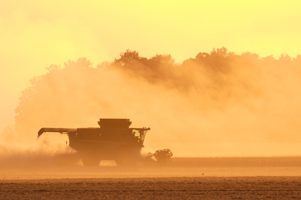 Soybean harvesting in a golden glow in Indiana