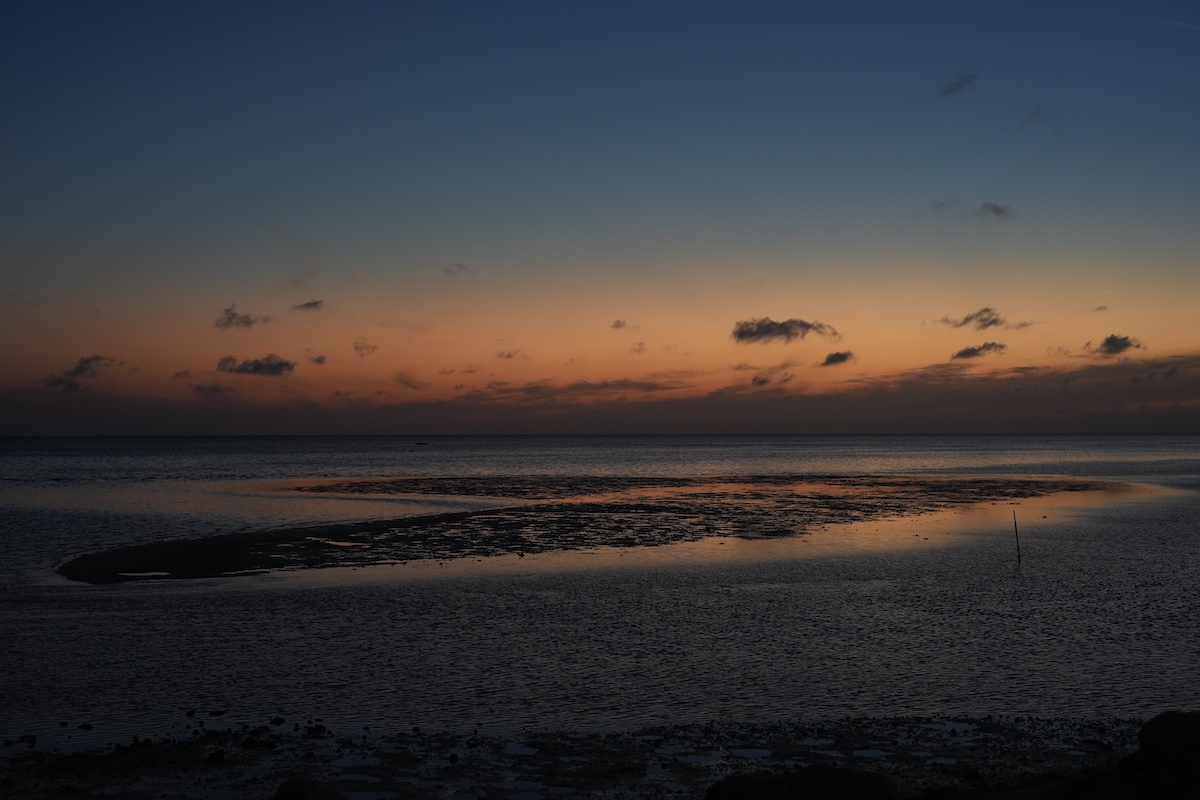 Is Newsom right that Florida is worst for mental health, home insurance, elder fraud and rent hikes?