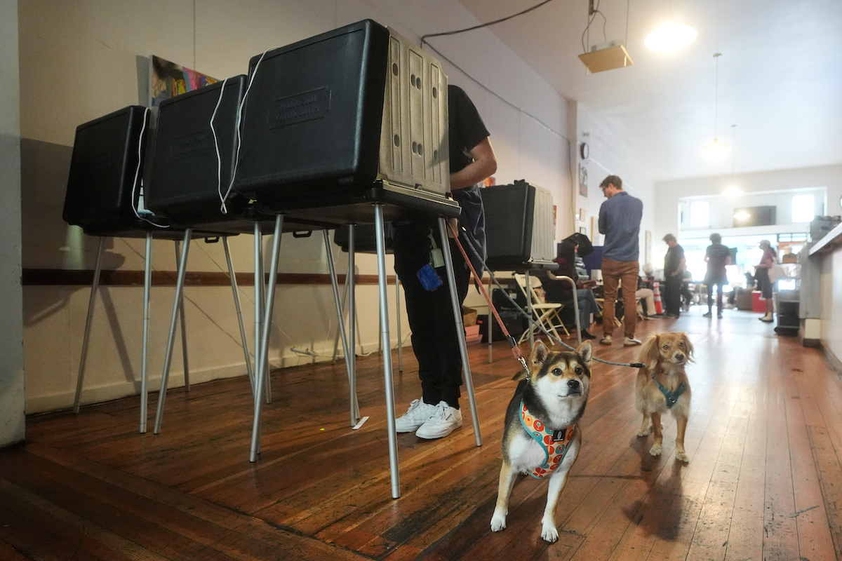 San Francisco voter with dogs 11-4-25