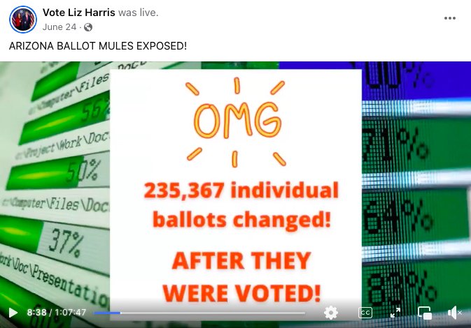 Ballot mules FB photo