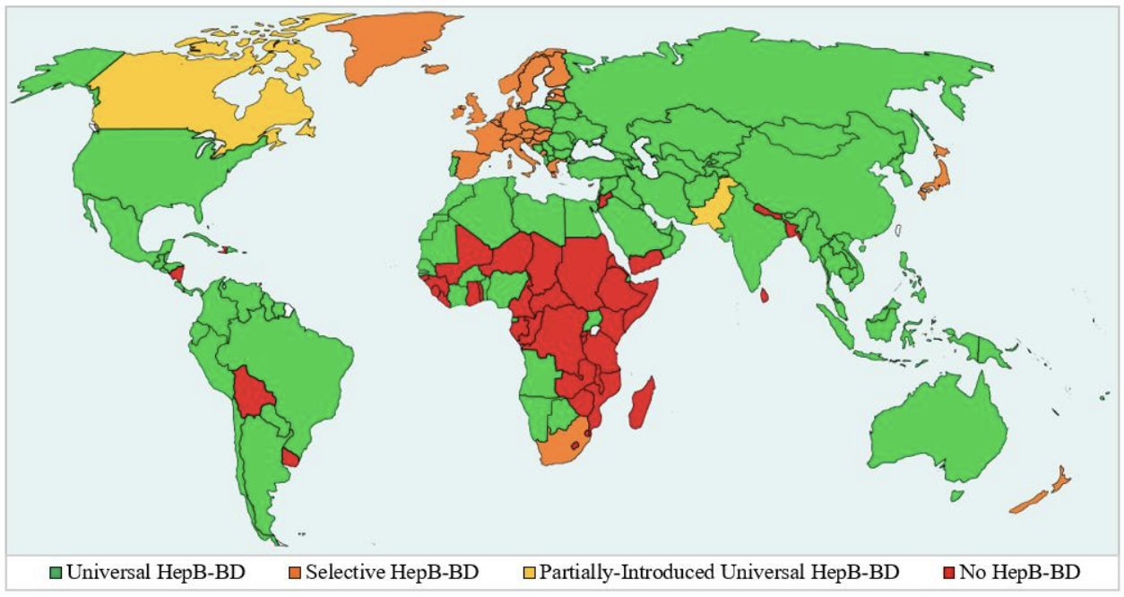 CDC's Hepatitis B vaccine birth dose vaccination policy by county, 2025