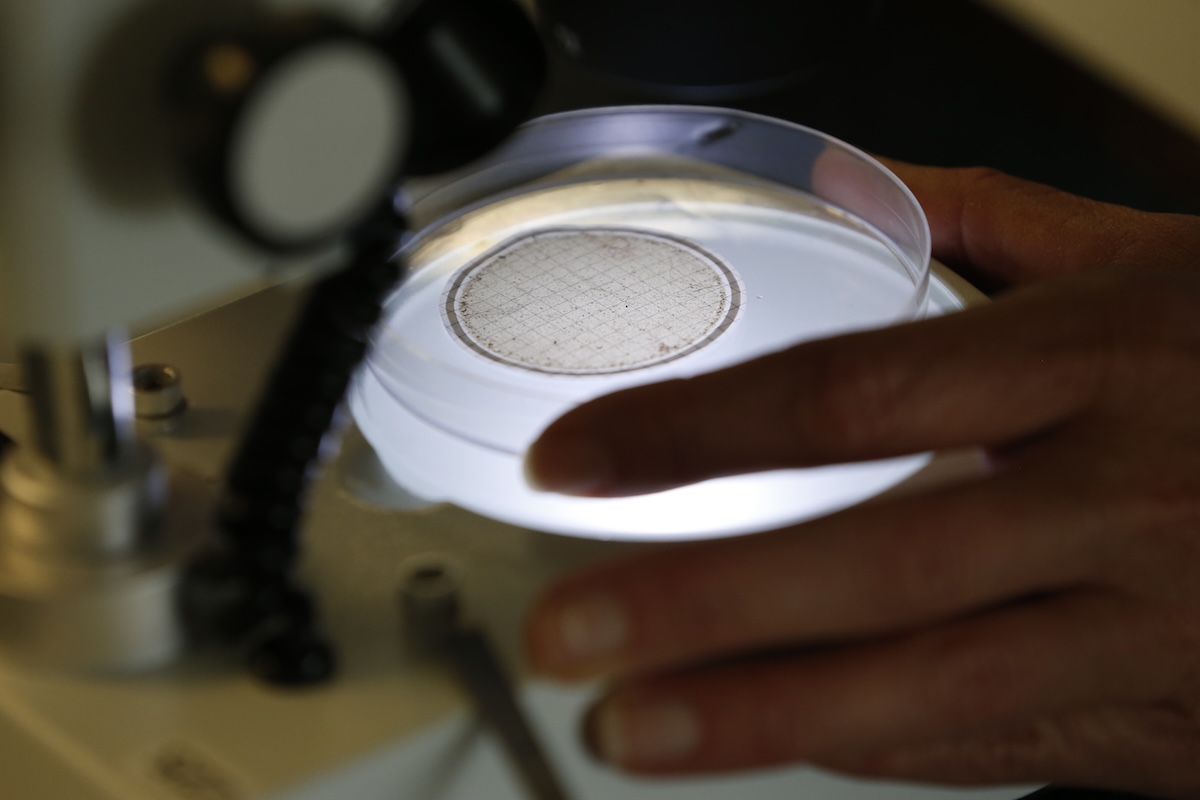 Researcher examines sample for microplastics with microscope 02-07-2017
