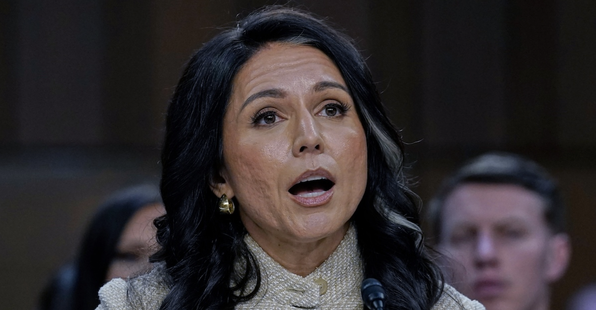 Tulsi Gabbard testifying before Senate Intelligence Cmte March 2026