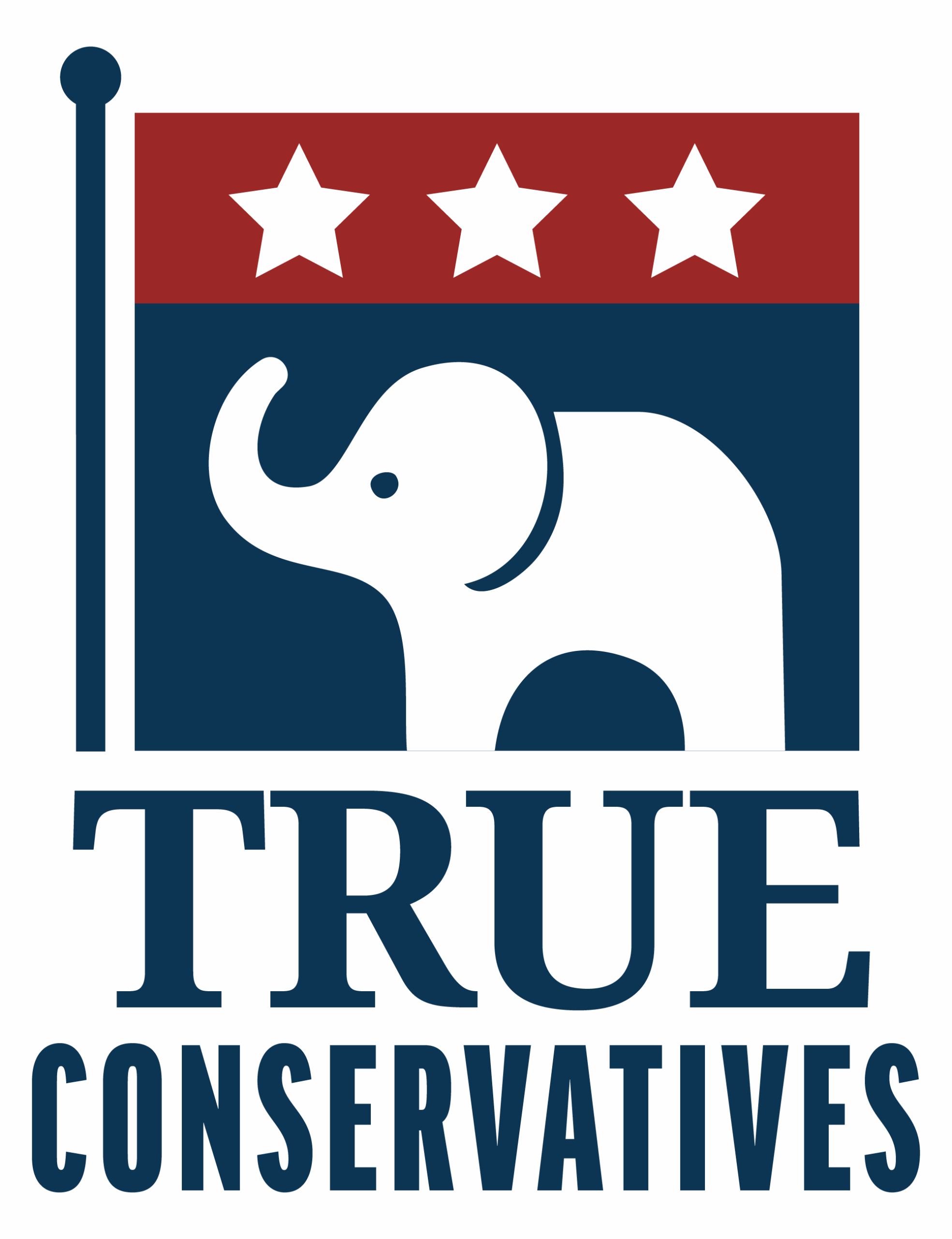 NC True Conservatives PAC