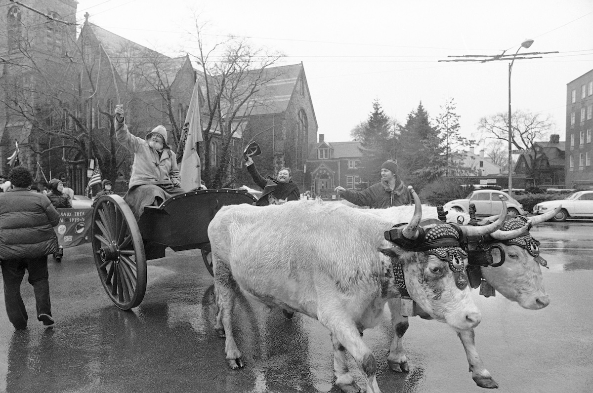 250th photo: Ox cart reenactment for Lou
