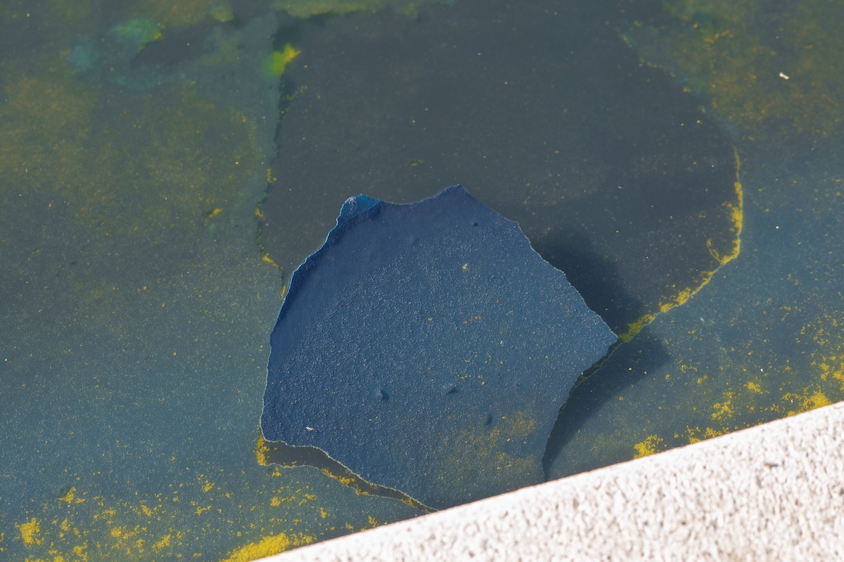Peeling paint in Reflecting Pool