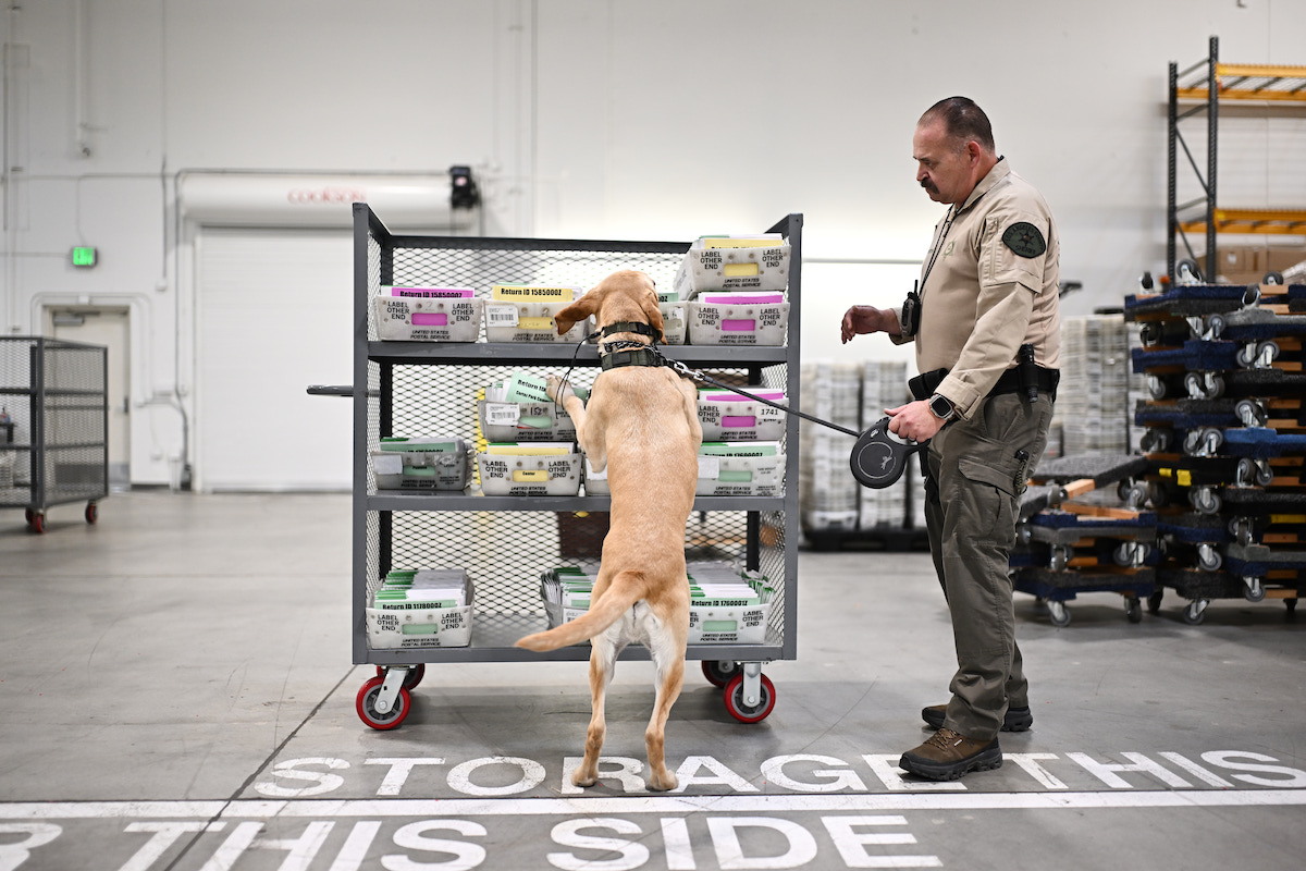dog and deputy inspect LA ballots 6-2-26